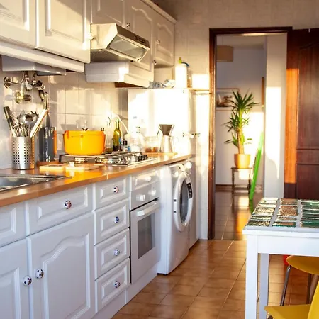 Apartment Penthouse Apartment, Center *