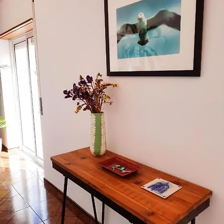 Penthouse Apartment, Center Apartment Caldas Da Rainha